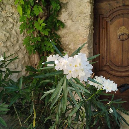 Bed and Breakfast Chez Les Filles Dions Zewnętrze zdjęcie