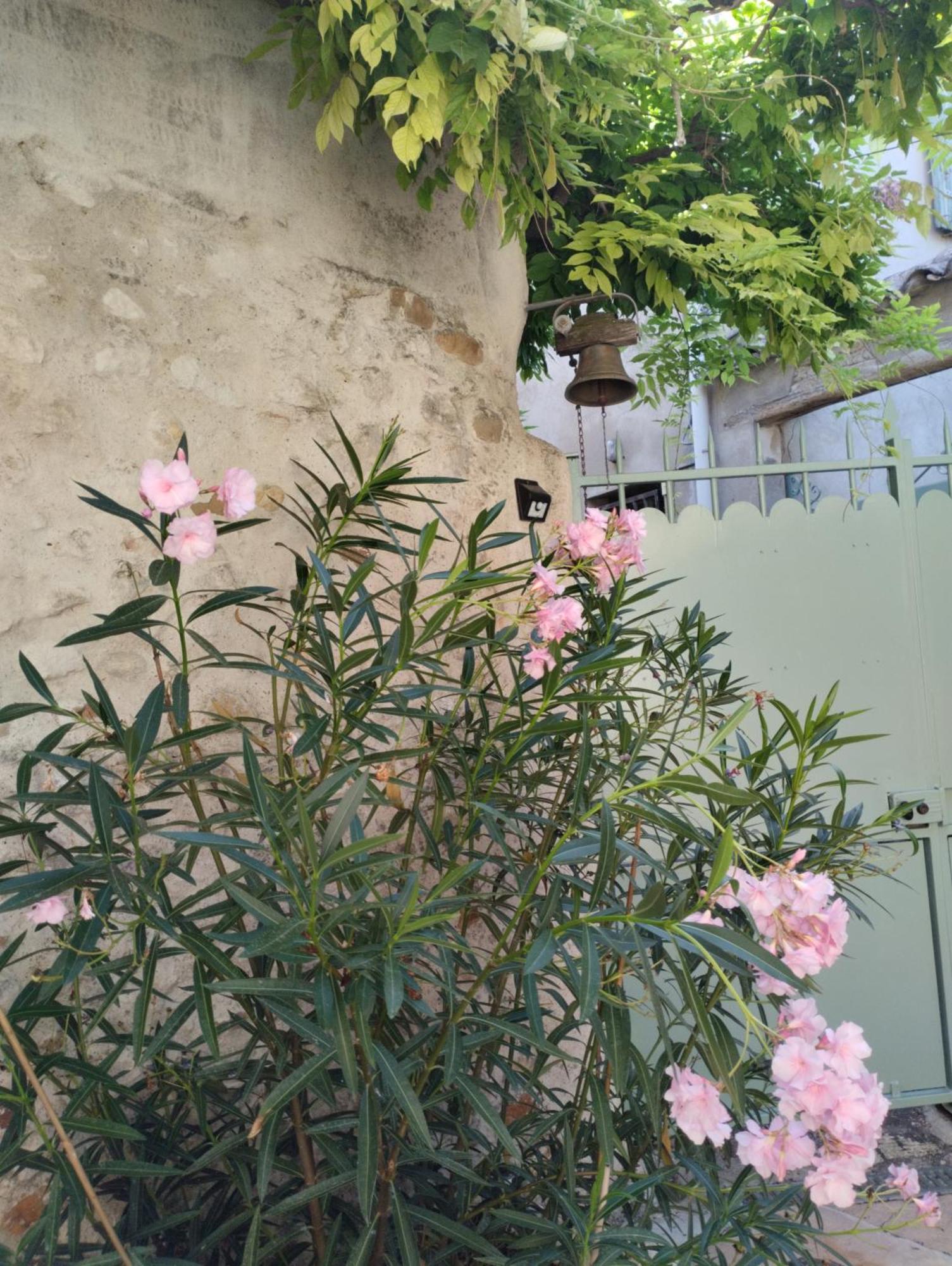 Bed and Breakfast Chez Les Filles Dions Zewnętrze zdjęcie