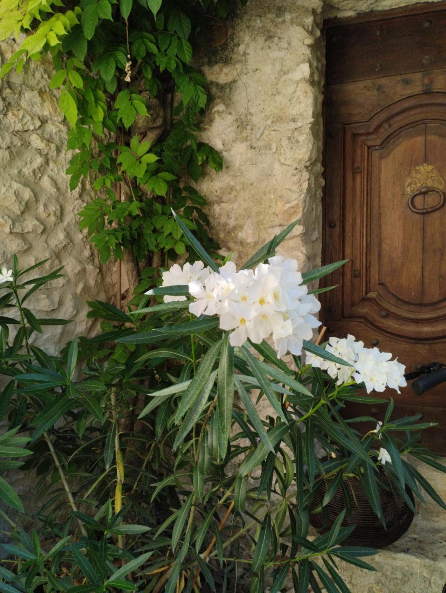 Bed and Breakfast Chez Les Filles Dions Zewnętrze zdjęcie